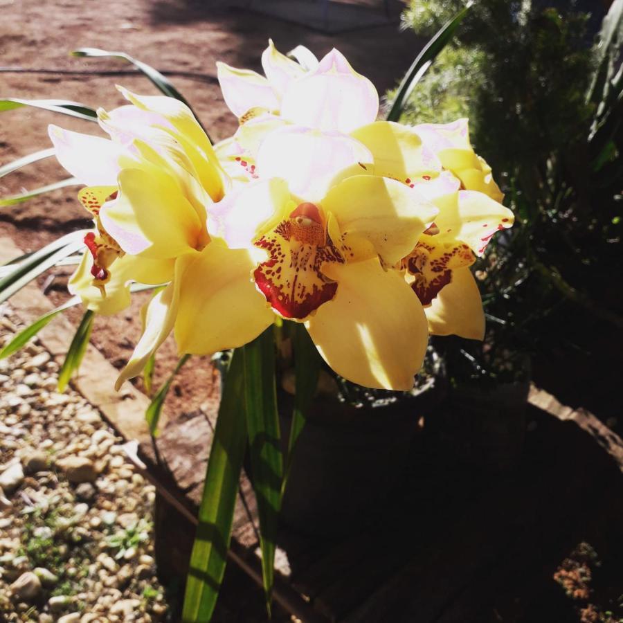 Sitio Dona Tereza_Cunha Sp Lägenhet Exteriör bild